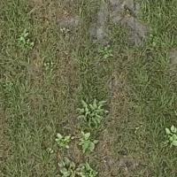 Weed Object Detection Dataset by YOLO