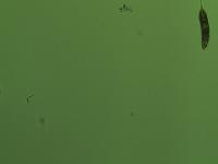 refined_emds7 project thumbnail