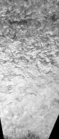 River project thumbnail