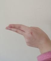 RGB Arabic Alphabet Sign Language (AASL) dataset project thumbnail