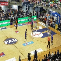 Basketball Object Detection Model by Yggdrasils Workspace