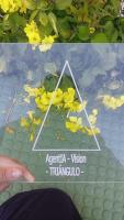 Discriminator triangulo project thumbnail