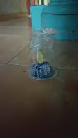 data sampah project thumbnail