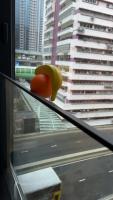 Fruit Project project thumbnail