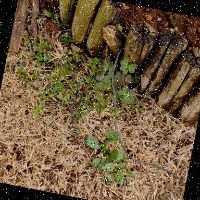 Dataset Image