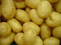 Potato detection project thumbnail