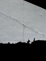 Yolov11 project thumbnail
