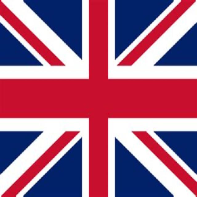 flag Object Detection Model by flag