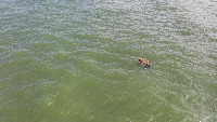 SeaDroneSee v2  project thumbnail