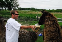Alpaca Detection project thumbnail
