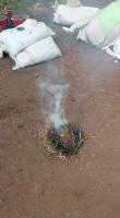 flame project thumbnail