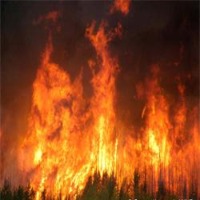 Fire Smoke Detection project thumbnail