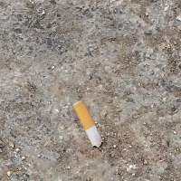Cigarette-bud finder Object Detection Model by Bachelors Project Benjamin  F2024