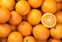 Finding fruit on tree project thumbnail