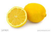 lemon project thumbnail