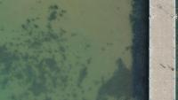 soil-salinity-detection project thumbnail
