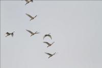 photo-derived-dataset project thumbnail