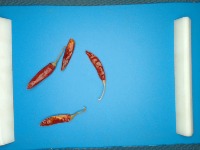 Proj2 project thumbnail