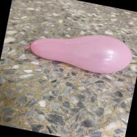 balloon_dataset project thumbnail