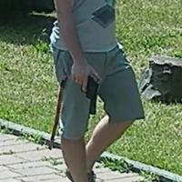 noncanonical-pistol project thumbnail