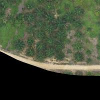 data pokok sawit project thumbnail