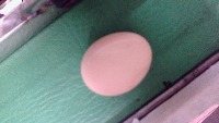 eggs project thumbnail