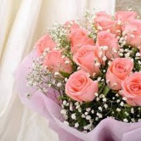colour roses project thumbnail