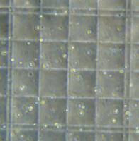 cell_counter project thumbnail