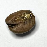 cacatkopi project thumbnail