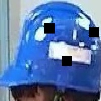 Dataset Image