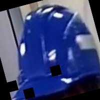 Dataset Image
