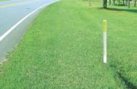Grass segmentation 2 project thumbnail