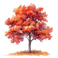 tree classification my project project thumbnail