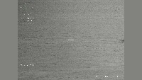 Whale project thumbnail