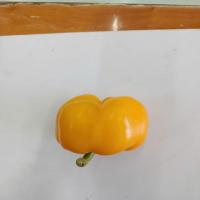 Bell_pepper project thumbnail