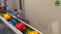 Bell_pepper project thumbnail
