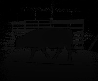 métricas ganado  2 project thumbnail