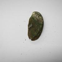 Abalone_V2 project thumbnail