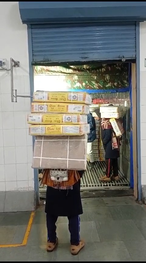 Cardboard Box Object Detection Dataset by ResoluteAI