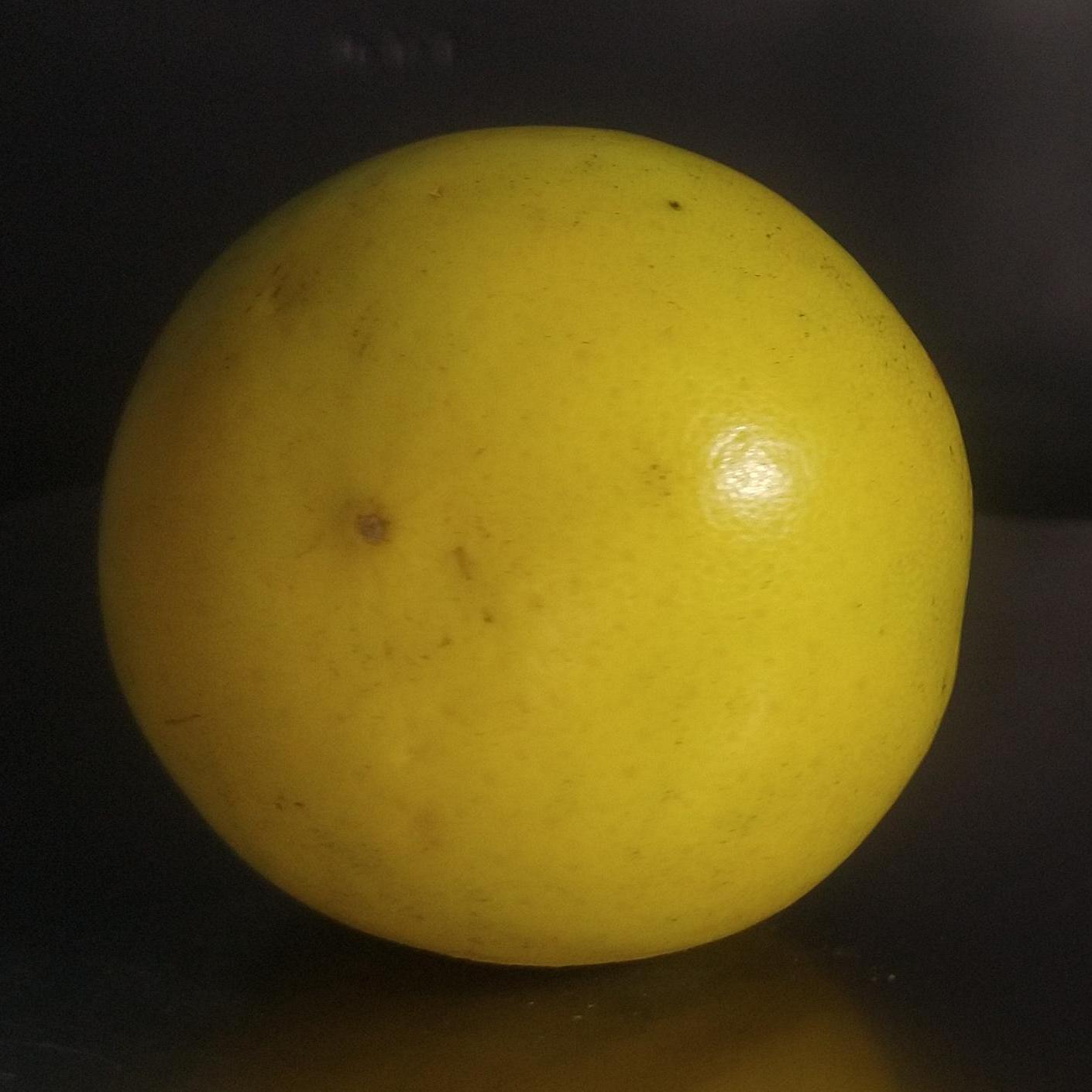Lemon Detection Object Detection Model by new-workspace-i5j66