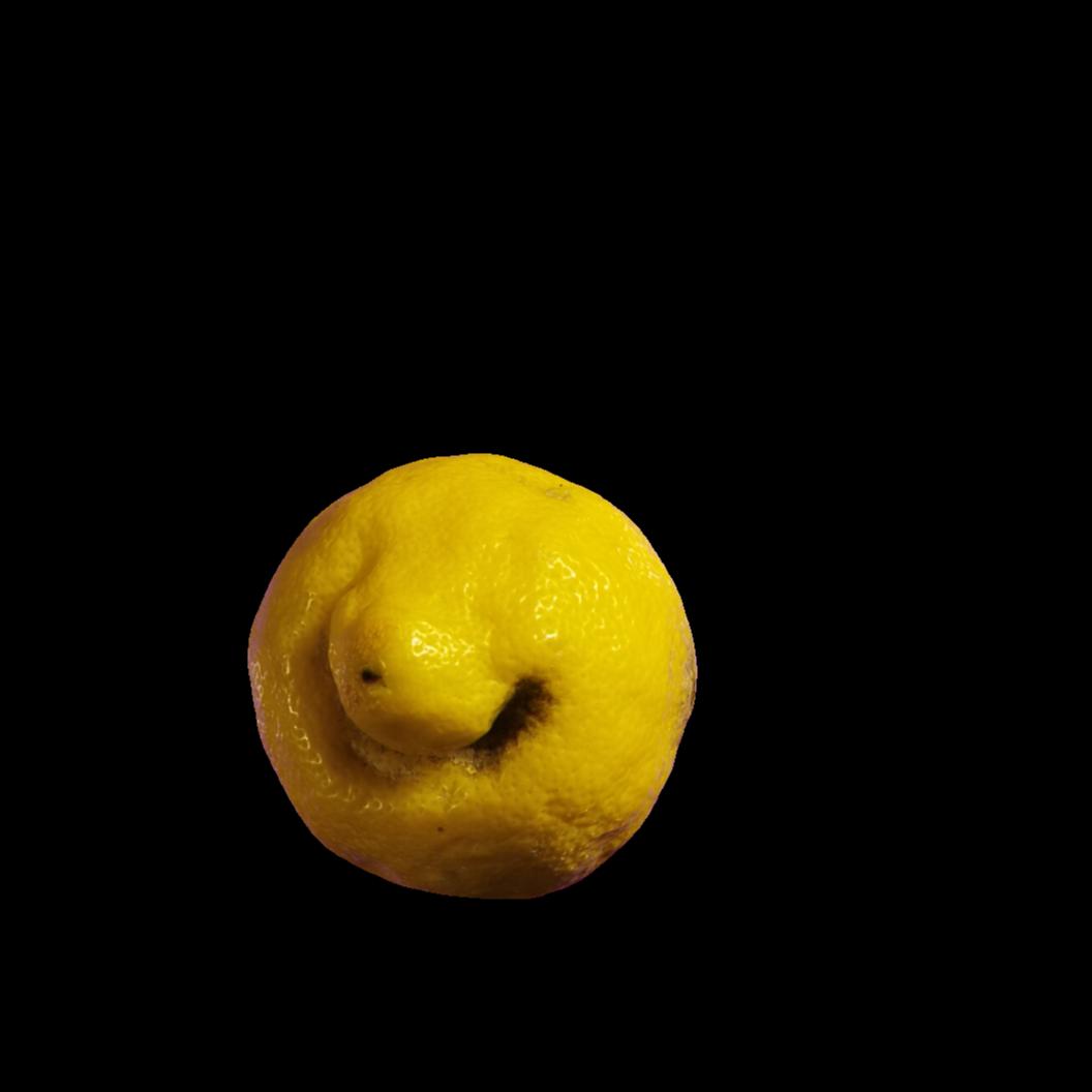 Lemon Detection Object Detection Model by new-workspace-i5j66