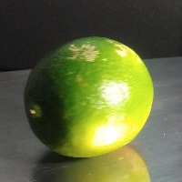 Lemon Detection Object Detection Model by new-workspace-i5j66