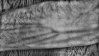 Vein viewer project thumbnail