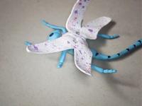 Insect Detection project thumbnail