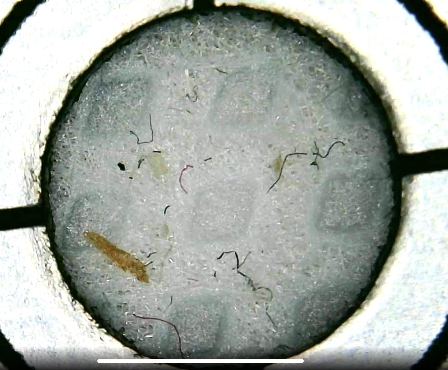 Microplastic project Object Detection Model by Appadvent