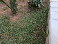 Lawn_and_obstacle_v4 project thumbnail