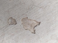 concrete project thumbnail