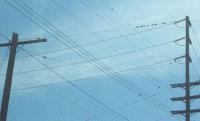 tele_pole project thumbnail