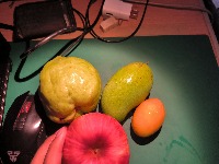 Dataset Image