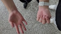 Dataset Image